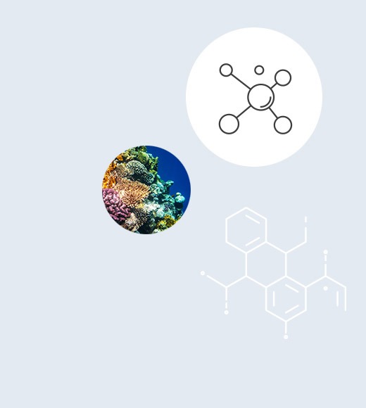 modulo d'ordine 2