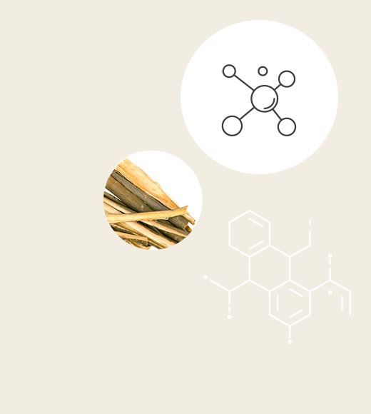 modulo d'ordine 2